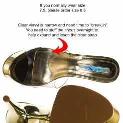 Liliana Mafia4 Clear Perspex High Heel Platform - Women Dance Shoes